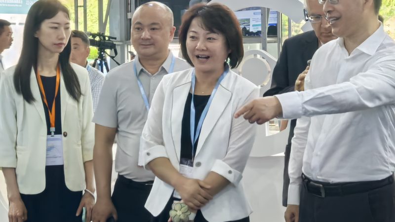 卡车变速箱配件：揭秘十大品牌背后的技术奥秘